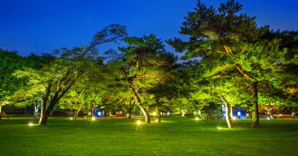 LED lights in park